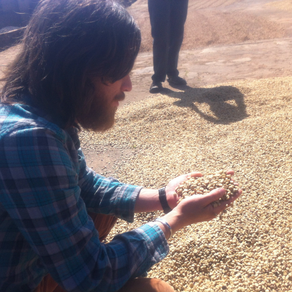 coffee, green coffee, beard, bearded man, coffee growing, origin trip