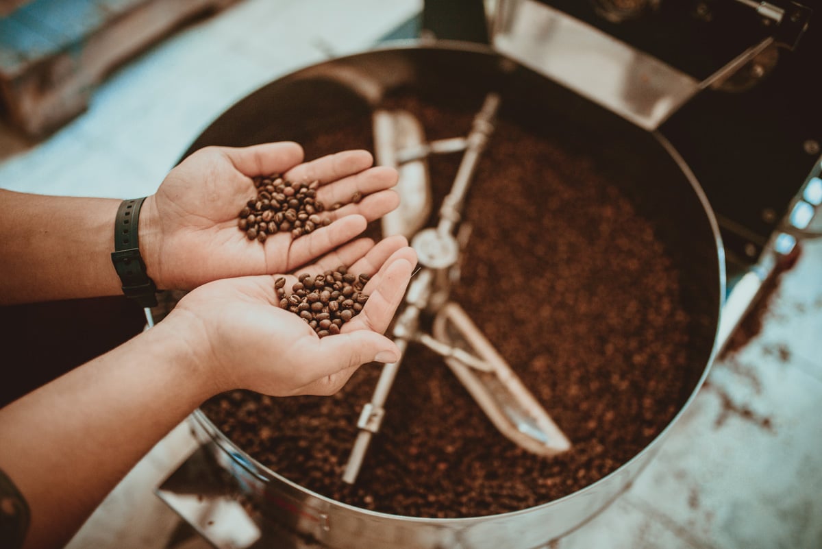 Two hands holding coffee beans above a coffee roaster in Nevada.