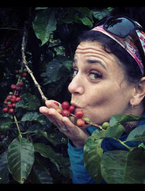 natalie-treeline1 natalie-treeline1