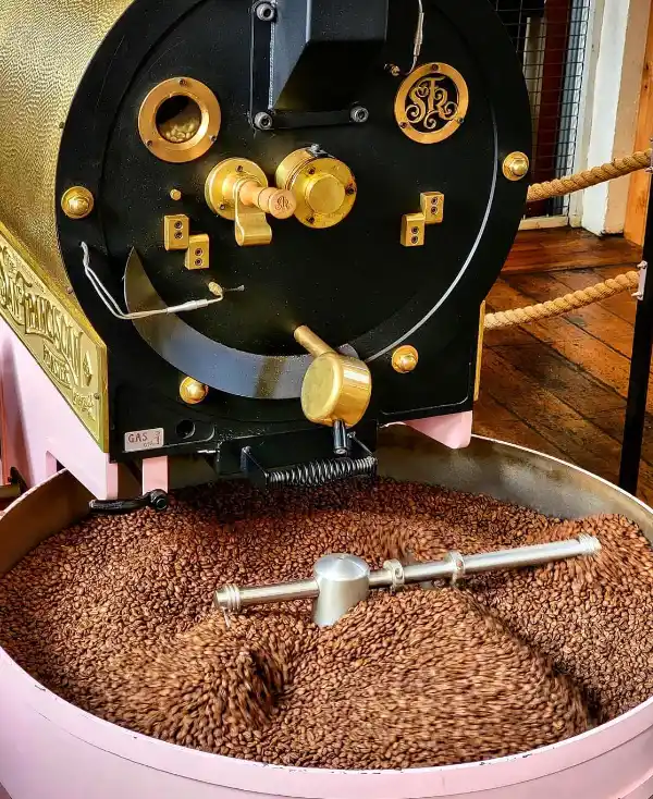 roaster-color6