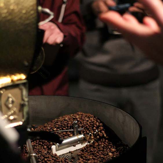 3kg drum roaster