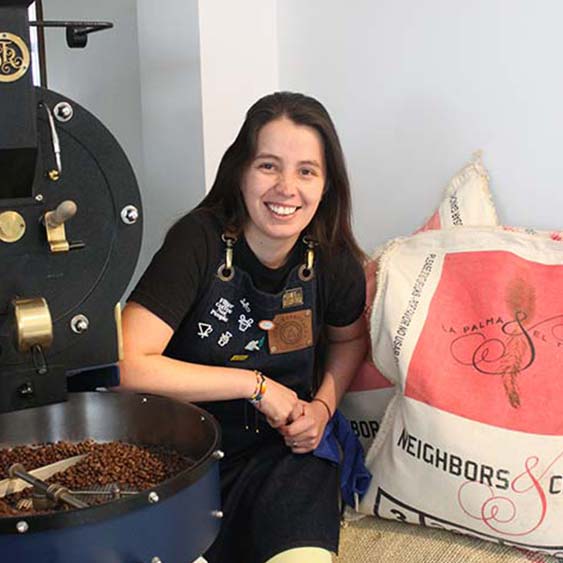 3kg coffee roaster machine