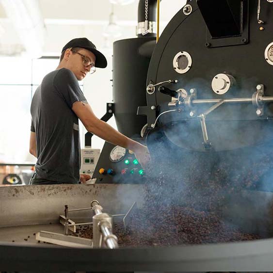 san franciscan sf75 bean dump